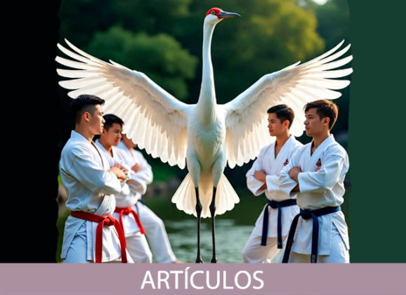 Las cuatro potencias del Hakutsuru-Ken